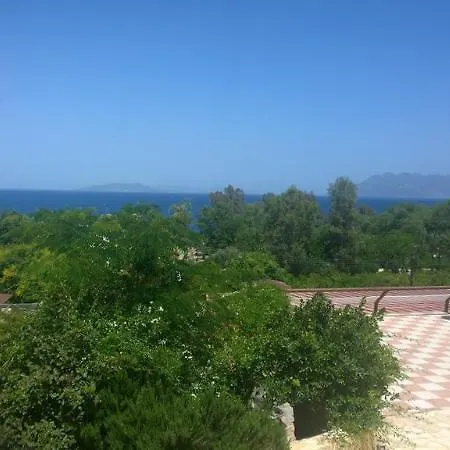 Aristotelis 2*