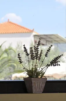 Aristotelis Epidaurus